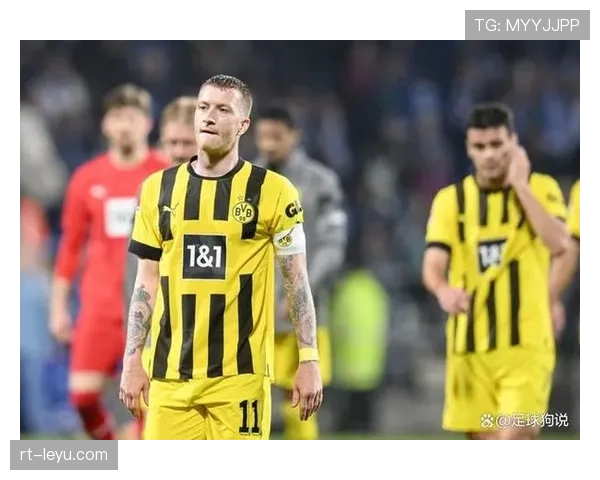 德甲裁判委员会对争议判罚进行内部审查